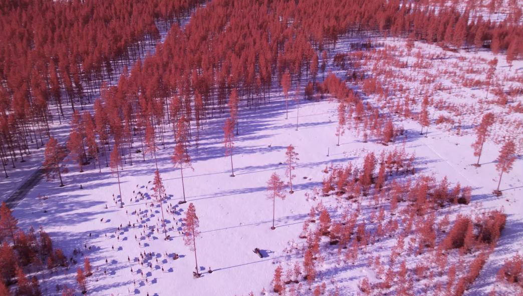 TAKKUUK Reindeer Drone
