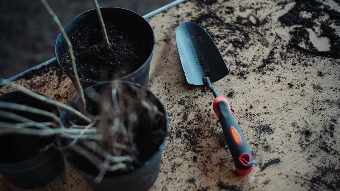 A trowel and plant pot with soil all around.