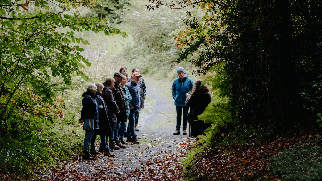 a group of people foraging in the woods in autumn