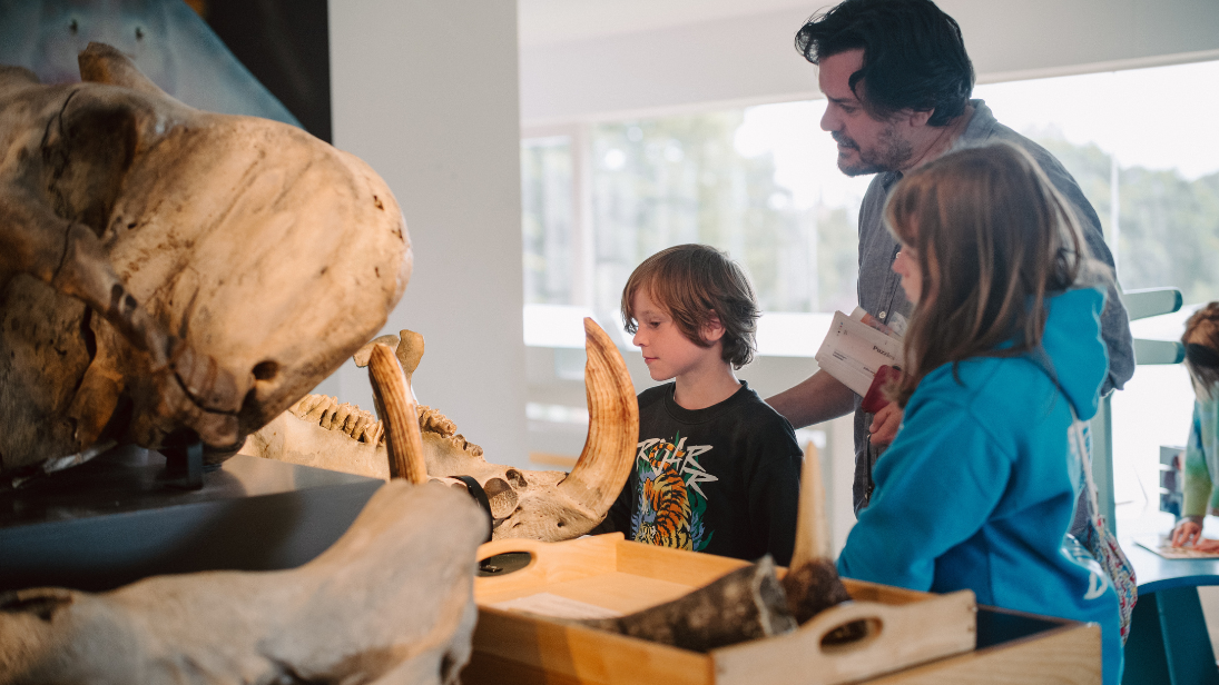 A man and two children looking at artefacts in ulster museum 