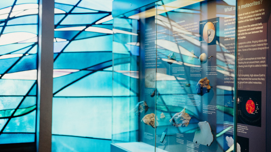 An image of a blue natural world gallery in Ulster Museum 