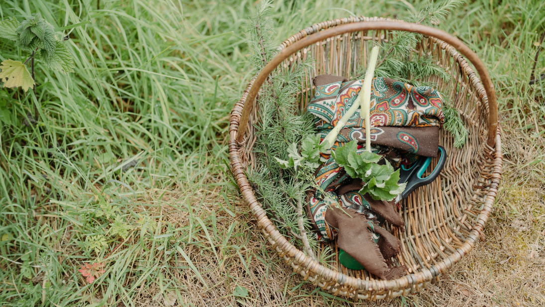 A wicker basket sitting on green grass filled with foraged leaves