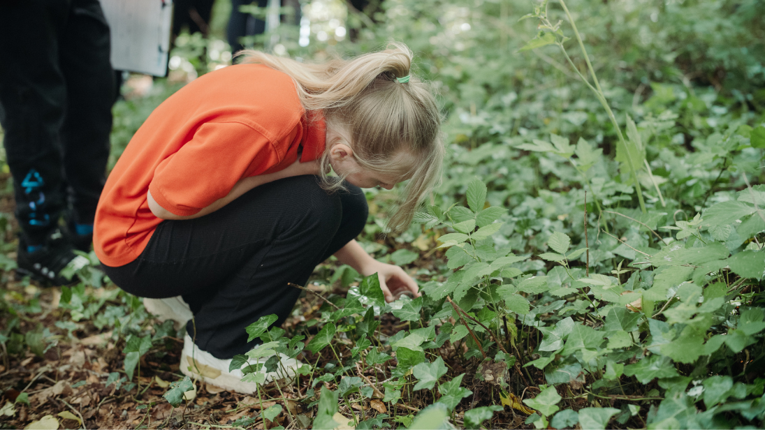 Sensory Nature Walk