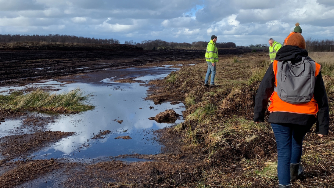 Bogland at Ballymacomb's More, near Bellaghy 