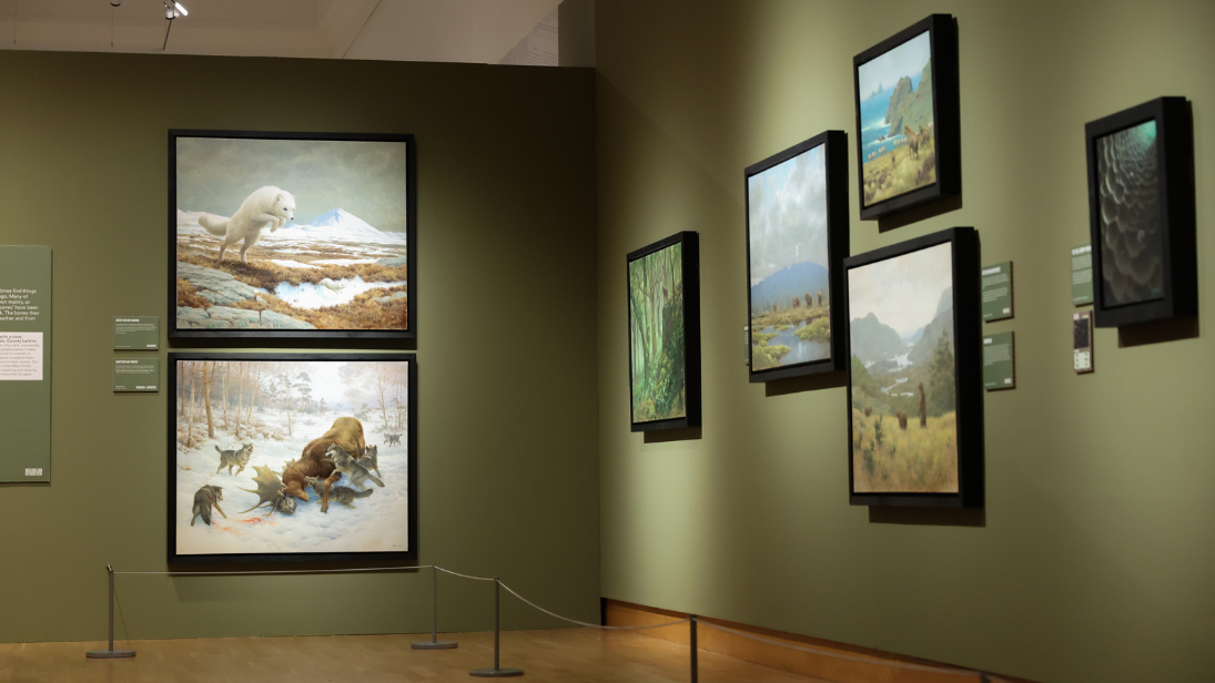 Wild Ireland exhibition 