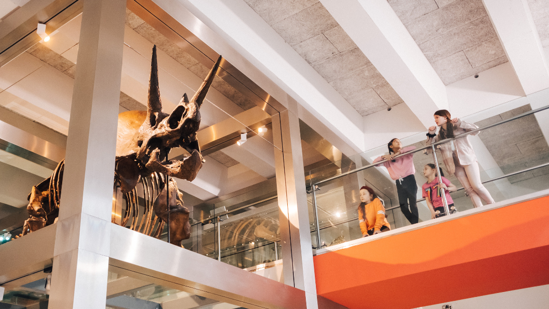 Discover Together at the Ulster Museum