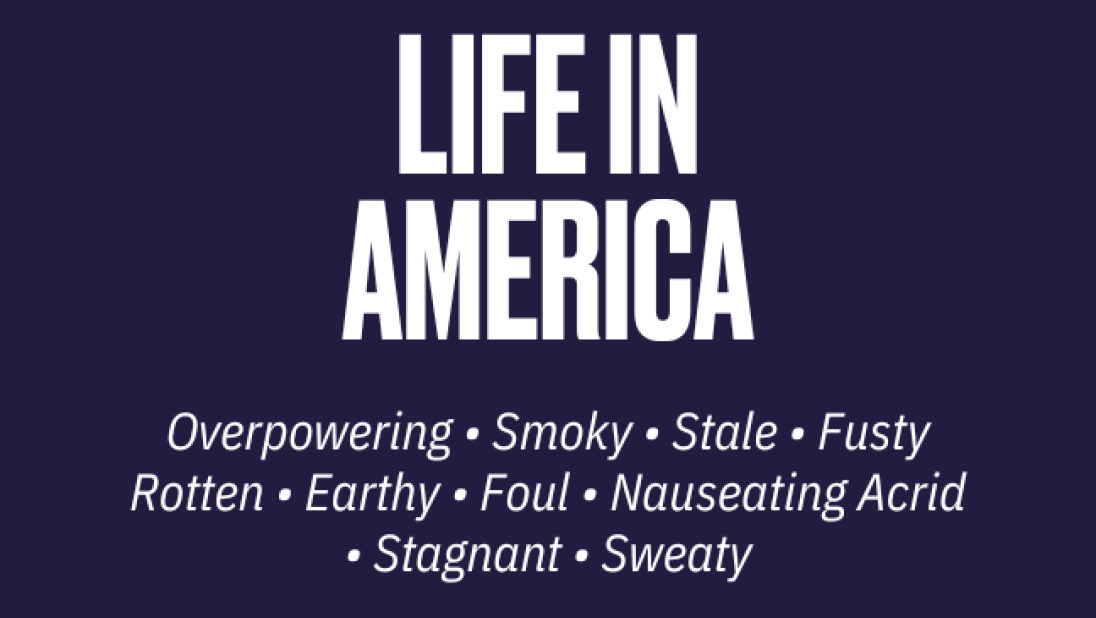 Life in America, living in a tenement smell description