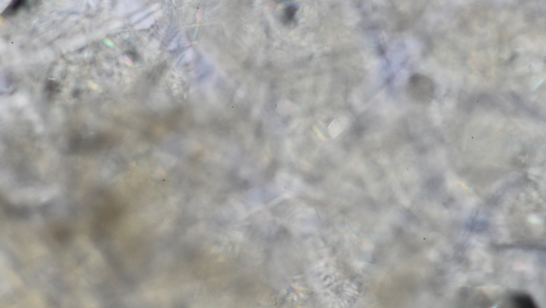 Unstacked image of Leuconia nivea spicule, 3
