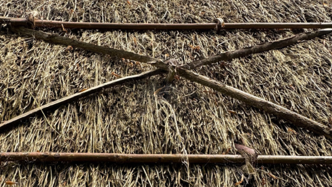 The eave of a thatched roof showing the scollops for decoration.