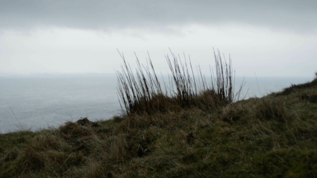 Grey skys, grass