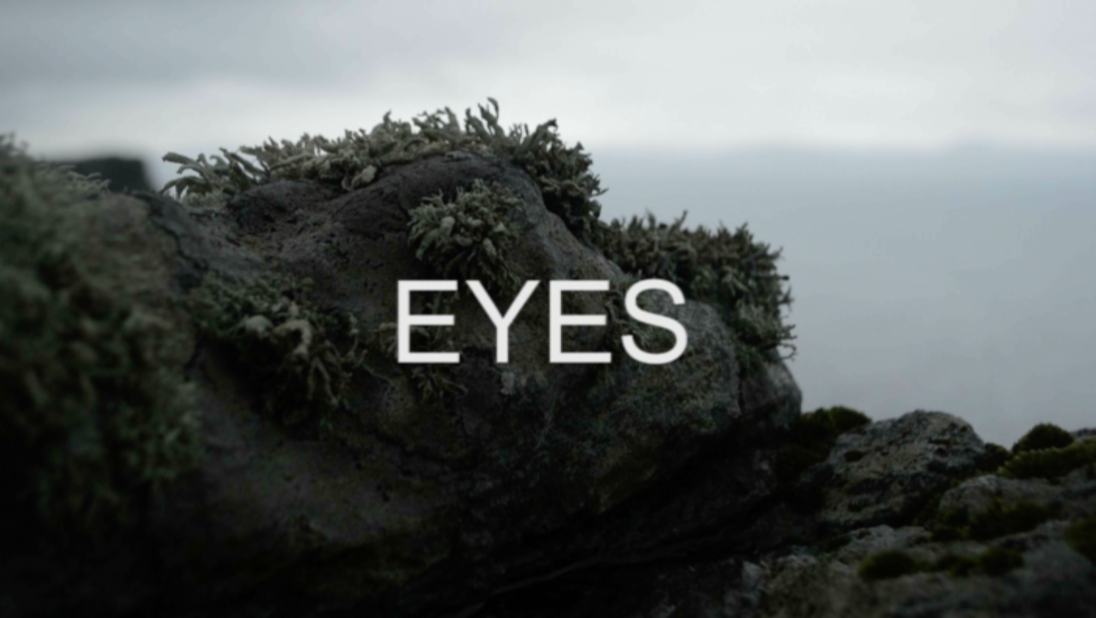 Close up of rocks, EYES text overlay