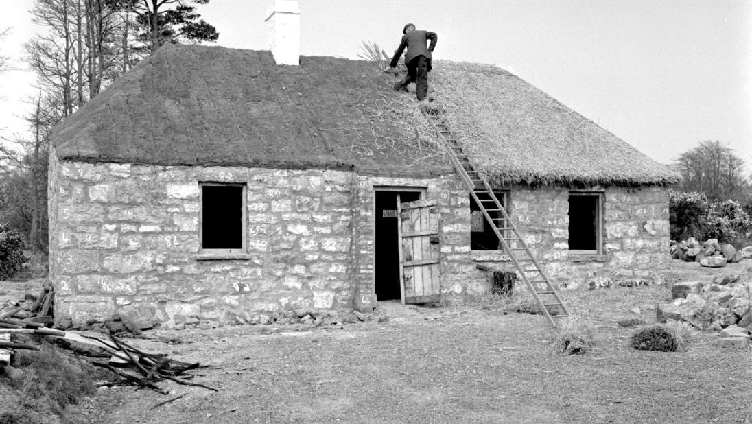 A wide view of a cottage. On the roof is a man, thatching.