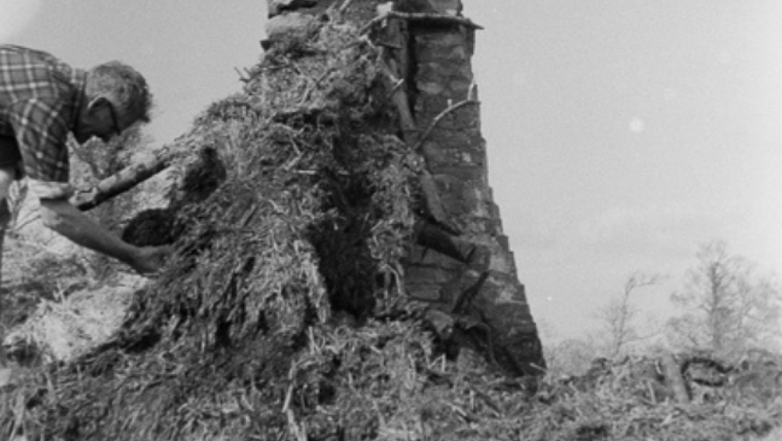 A black and white photograph of a man standing on a roof of a dilapidated cottage. He is examining its thatch.