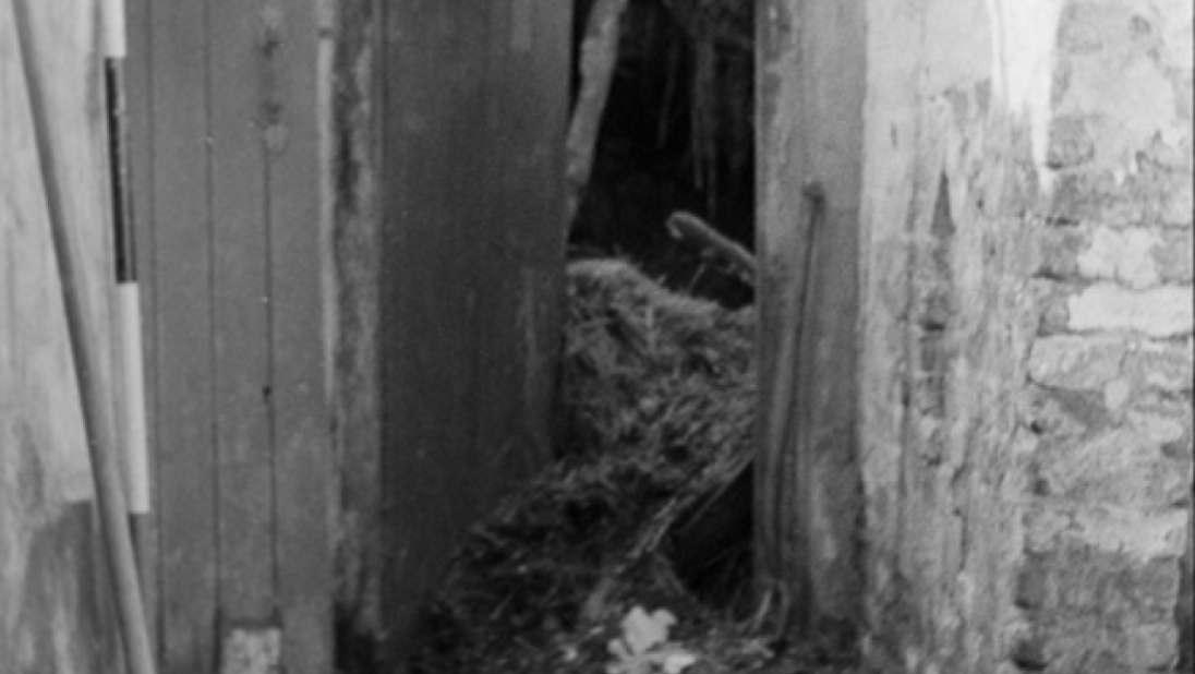 A black and white photograph of the entrance way of a rundown cottage. There is a large jamb wall on the left, a doorway to more interior rooms ahead, and to the left is the door to the cottage. 