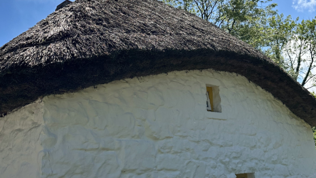 The side of a cottage that has a sloping thatched roof that arcs along the length of the building. 