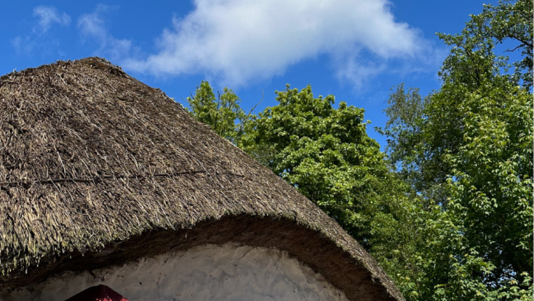 The side of a cottage that has a sloping thatched roof that arcs along the length of the building. 