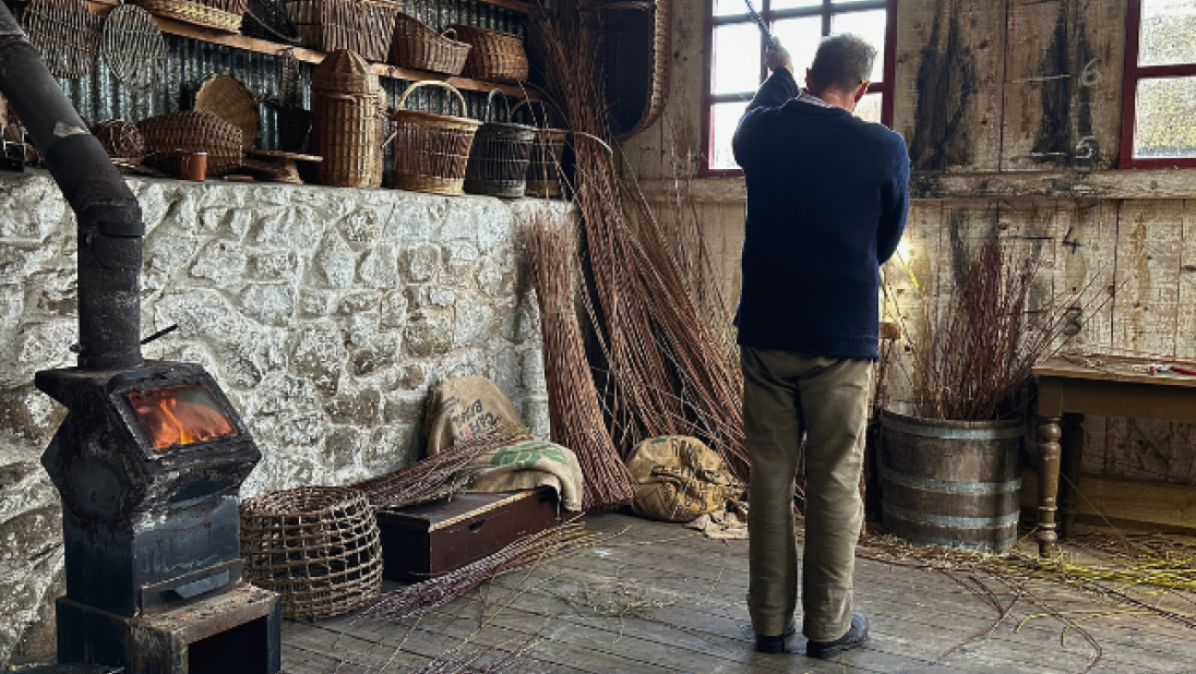 Bob sorts the willow