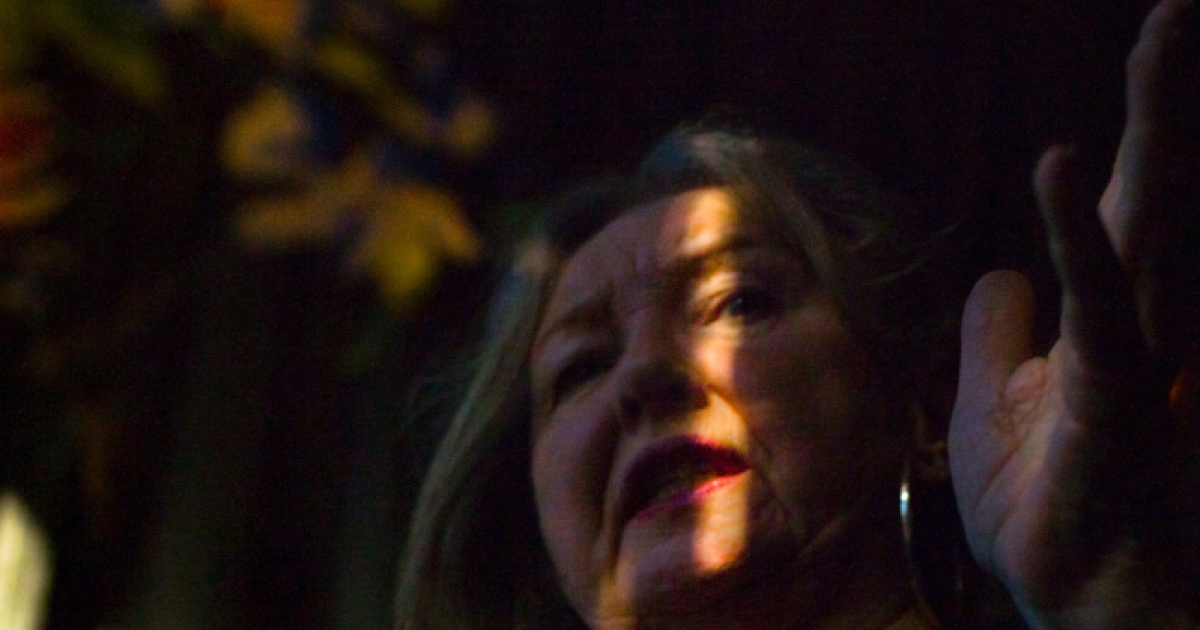 Anne Devlin Ulster Museum