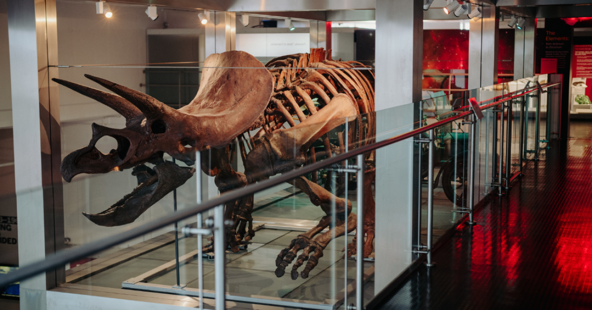 Ulster Museum