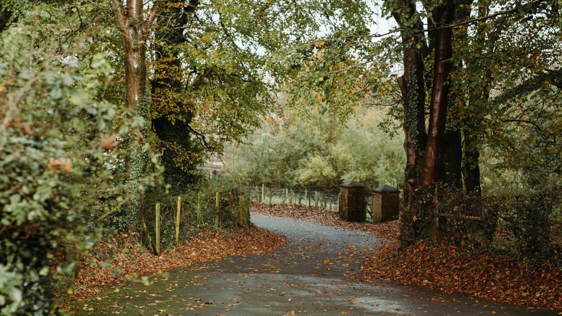 Tree Folklore Walk 