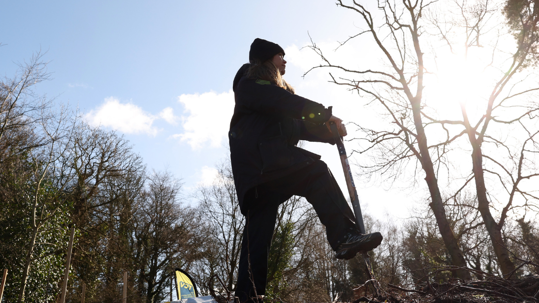 A woman planting a tree