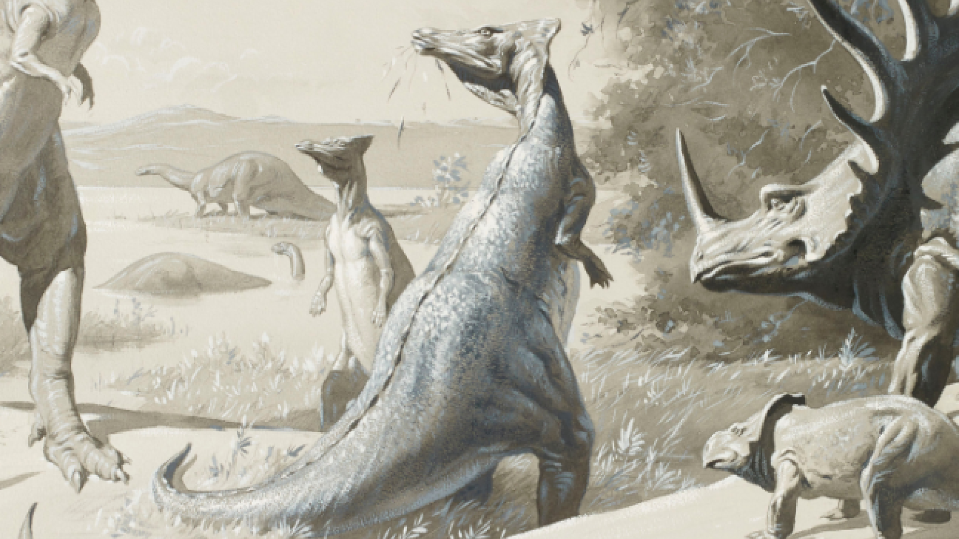 The Prehistoric World of Neave Parker | Ulster Museum