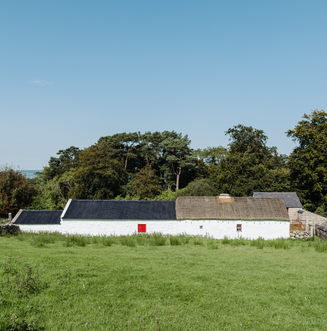 A wide shot of a whitewashed farm wall, the farm buildings peaking out beyond.