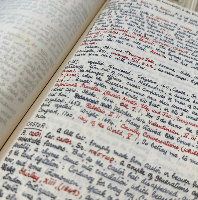 Close up of hand written glossary in blue and red ink pen