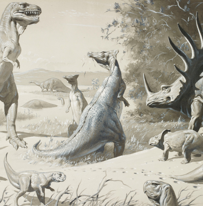 An illustration of dinosaurs.