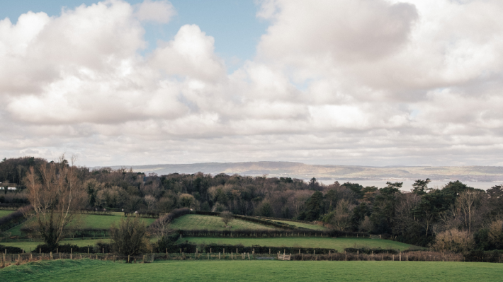 Landscape image of fields, trees, clouds and Belfast Lough in the distance
