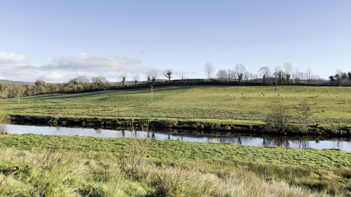 A photograph of the lush green Irish landscape with a river running through it. 