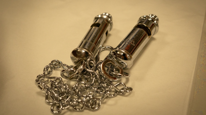 Whistle