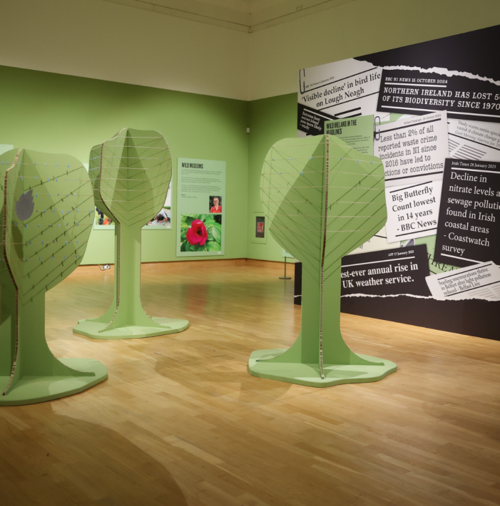 Engagement stations in the wild ireland exhibition at the ulster museum
