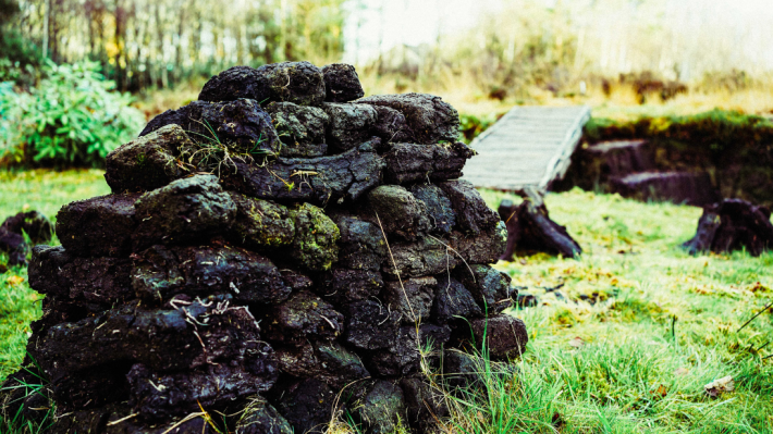 Bogland at the Ulster American Folk Park, Omagh 