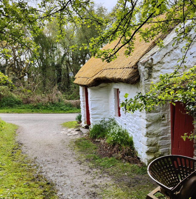 A thatched cottage sits amongst greenery.