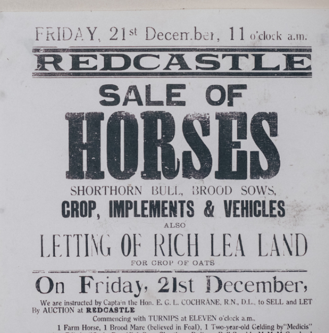 Redcastle Sale of Horses poster