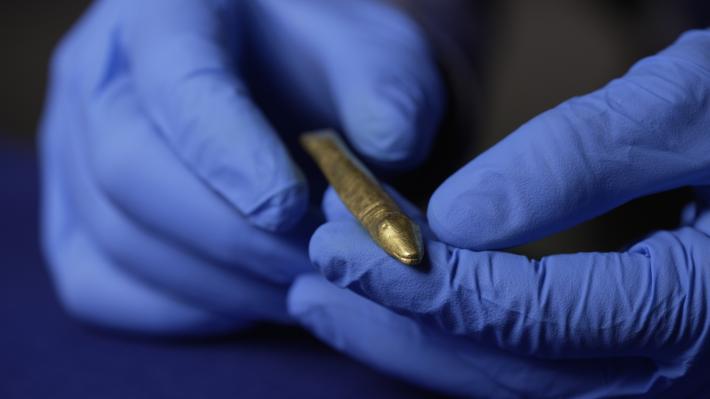 Gold fish in the treasure collection