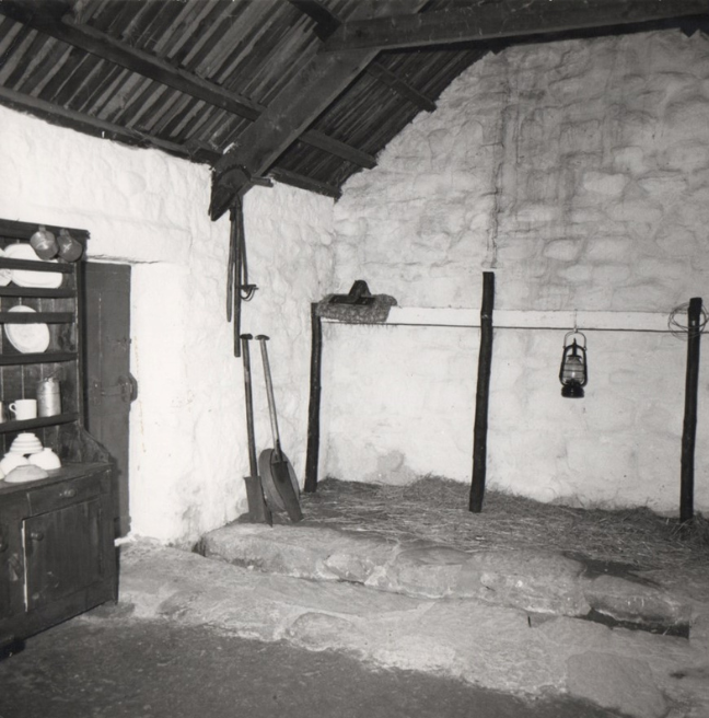 The inside of a byre dwelling showing the byre, including wooden posts where the cattle was tied. 