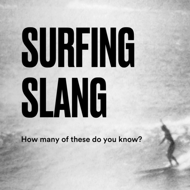Title card surfing slang