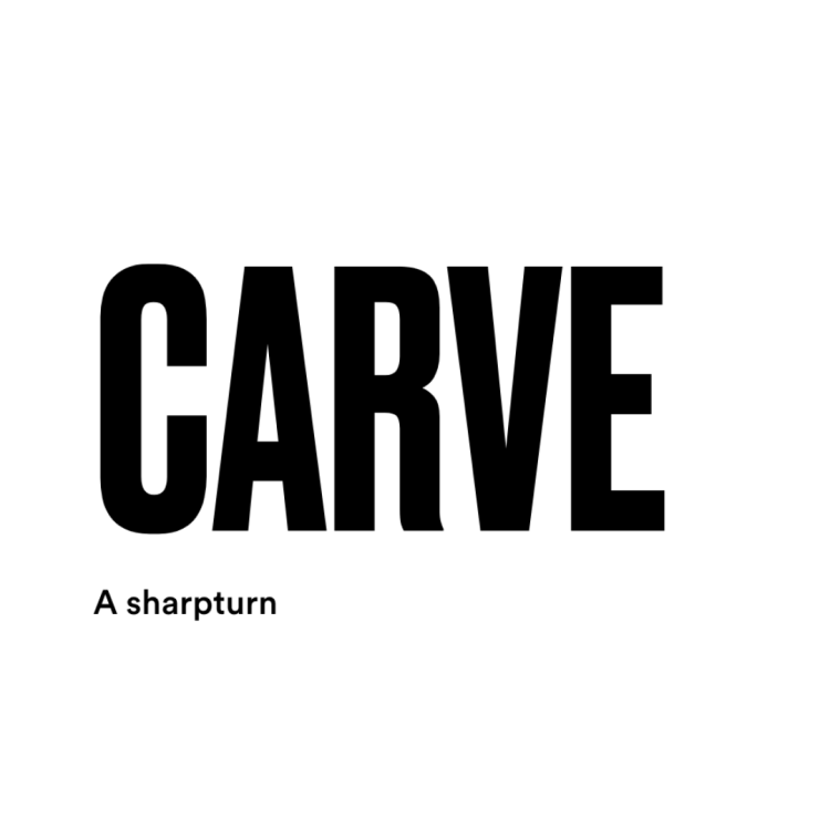 carve surfing slang