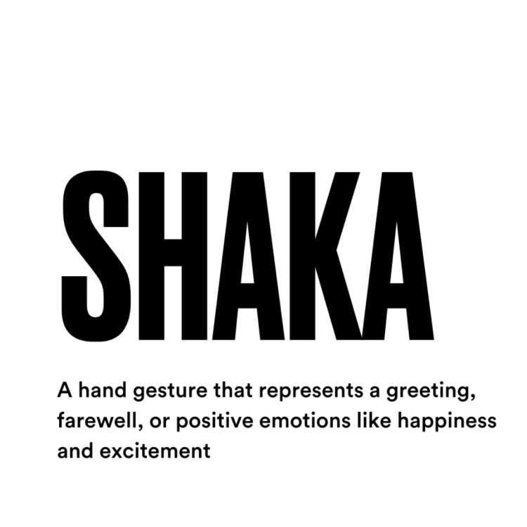 shaka surfing slang