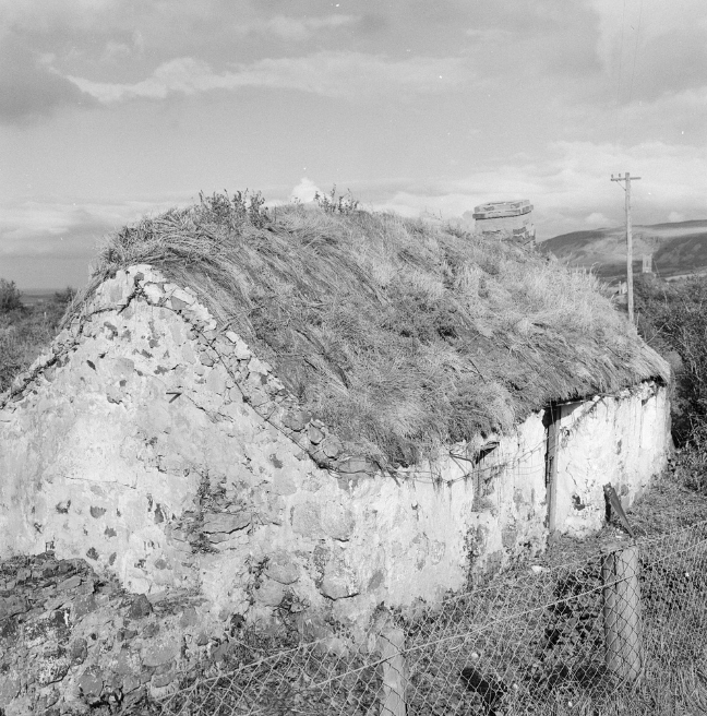 A whitewashed cottage with a thatch roof in its original location.