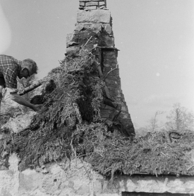 A black and white photograph of a man standing on a roof of a dilapidated cottage. He is examining its thatch.
