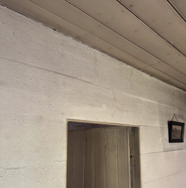 The wall and roof of a room, built out of wood.
