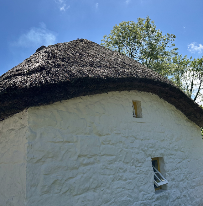 The side of a cottage that has a sloping thatched roof that arcs along the length of the building. 