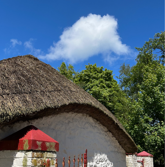 The side of a cottage that has a sloping thatched roof that arcs along the length of the building. 