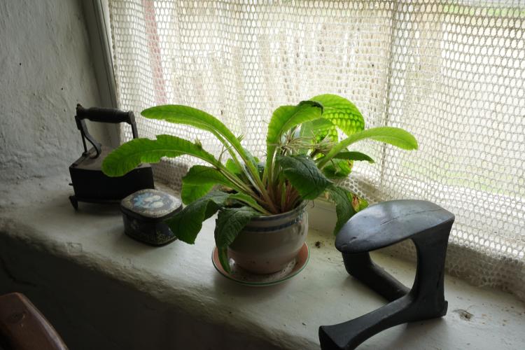 Mellon Interior