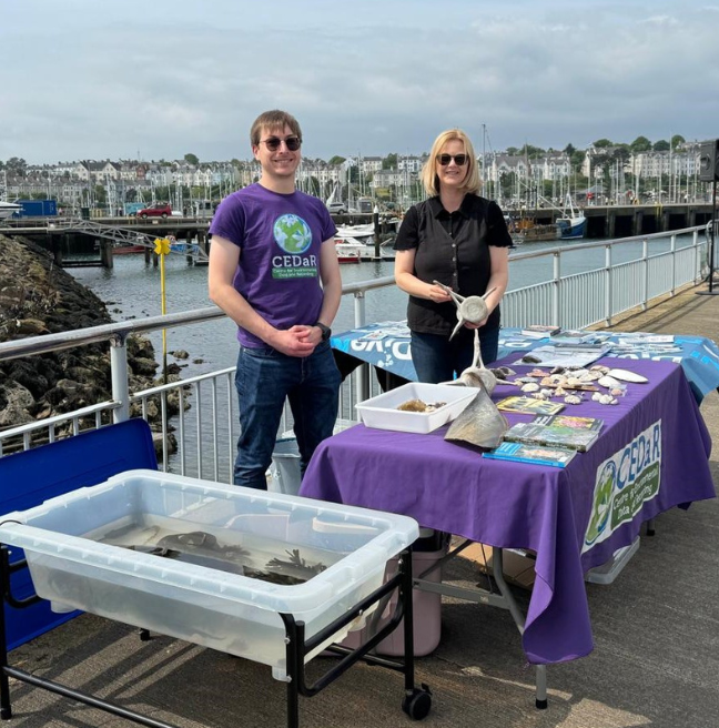 CEDaR team at Sea Bangor Festival June 2024
