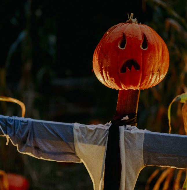 a sad face pumpkin scarecrow 