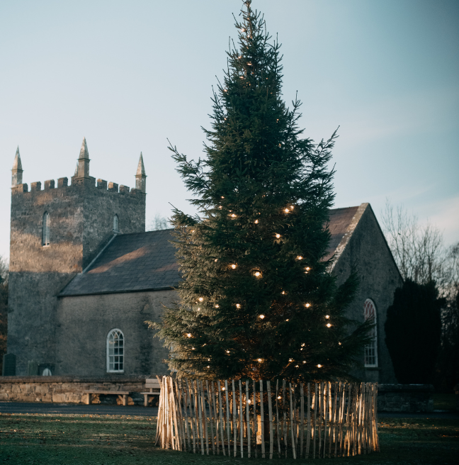 A decorated fir tree outdoors 